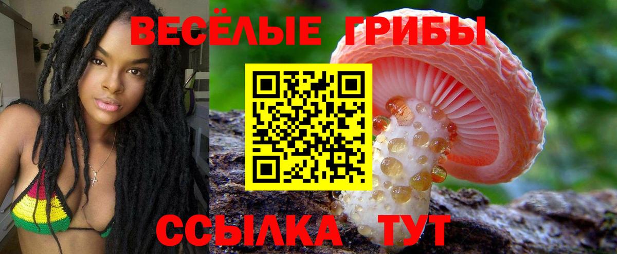 Псилоцибиновые грибы Magic Shrooms  Вход с VPN  Псилоцибиновые грибы Psilocybe  Снежинск 